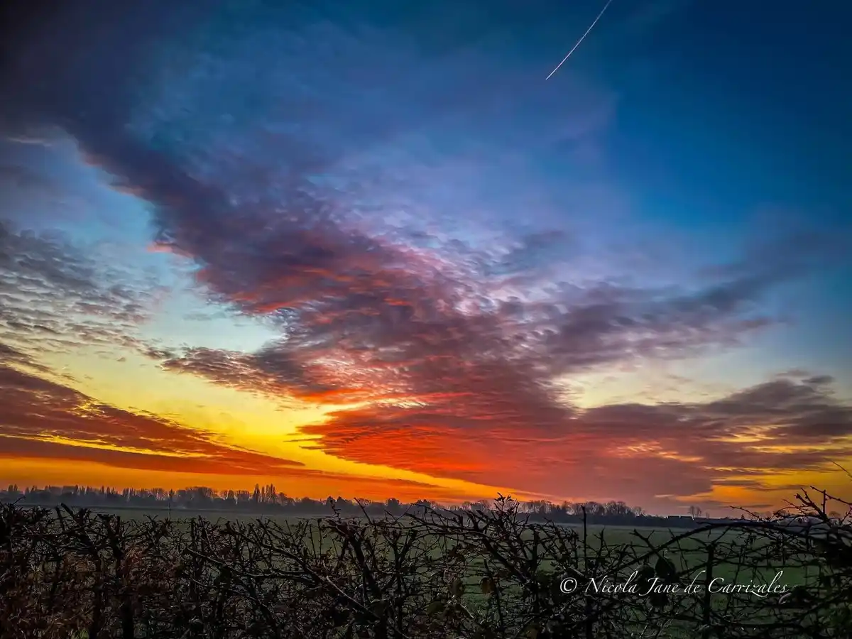 A vibrant sunset or sunrise photo showing a colorful sky with orange, red, and purple clouds over a green field, with bare…