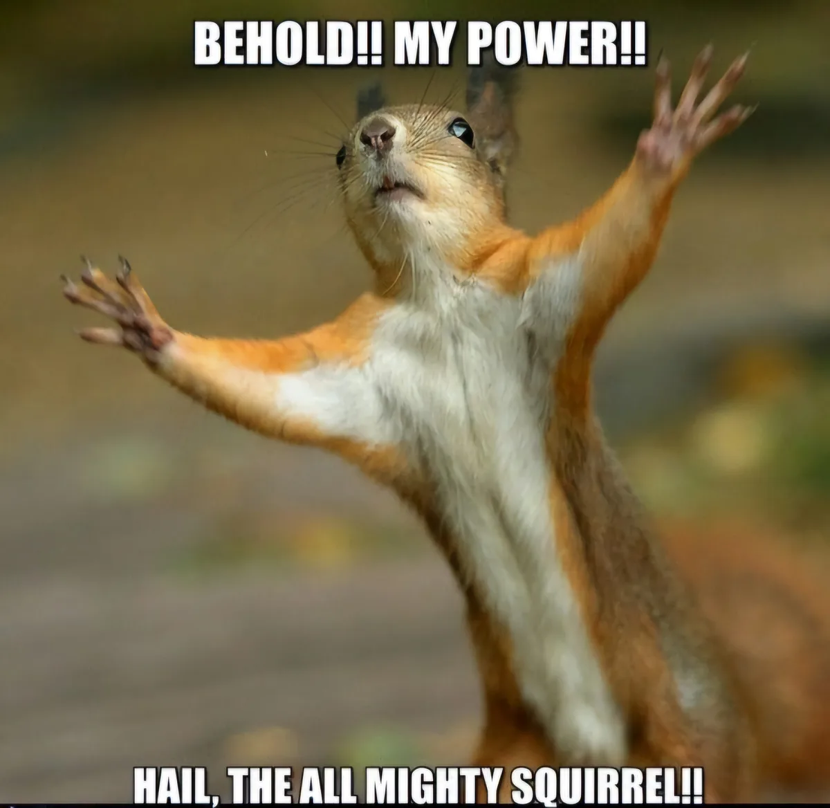 A red squirrel stands upright with arms raised triumphantly, looking upward with an intense expression. The image has bold…