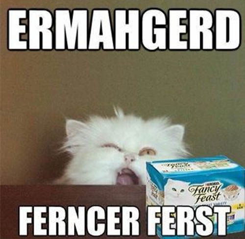 A fluffy white cat with its mouth wide open in an exaggerated expression of shock or excitement, positioned behind a wooden…
