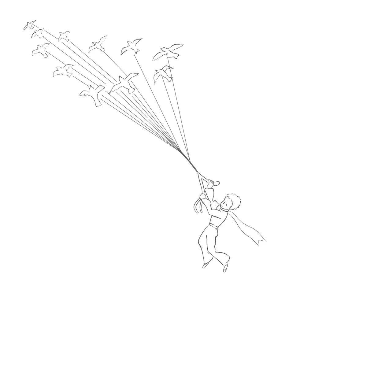 The Soaring Adventures of a Prince in Flight