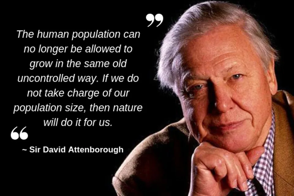 A portrait of Sir David Attenborough with his hand resting under his chin, looking thoughtful against a black background…