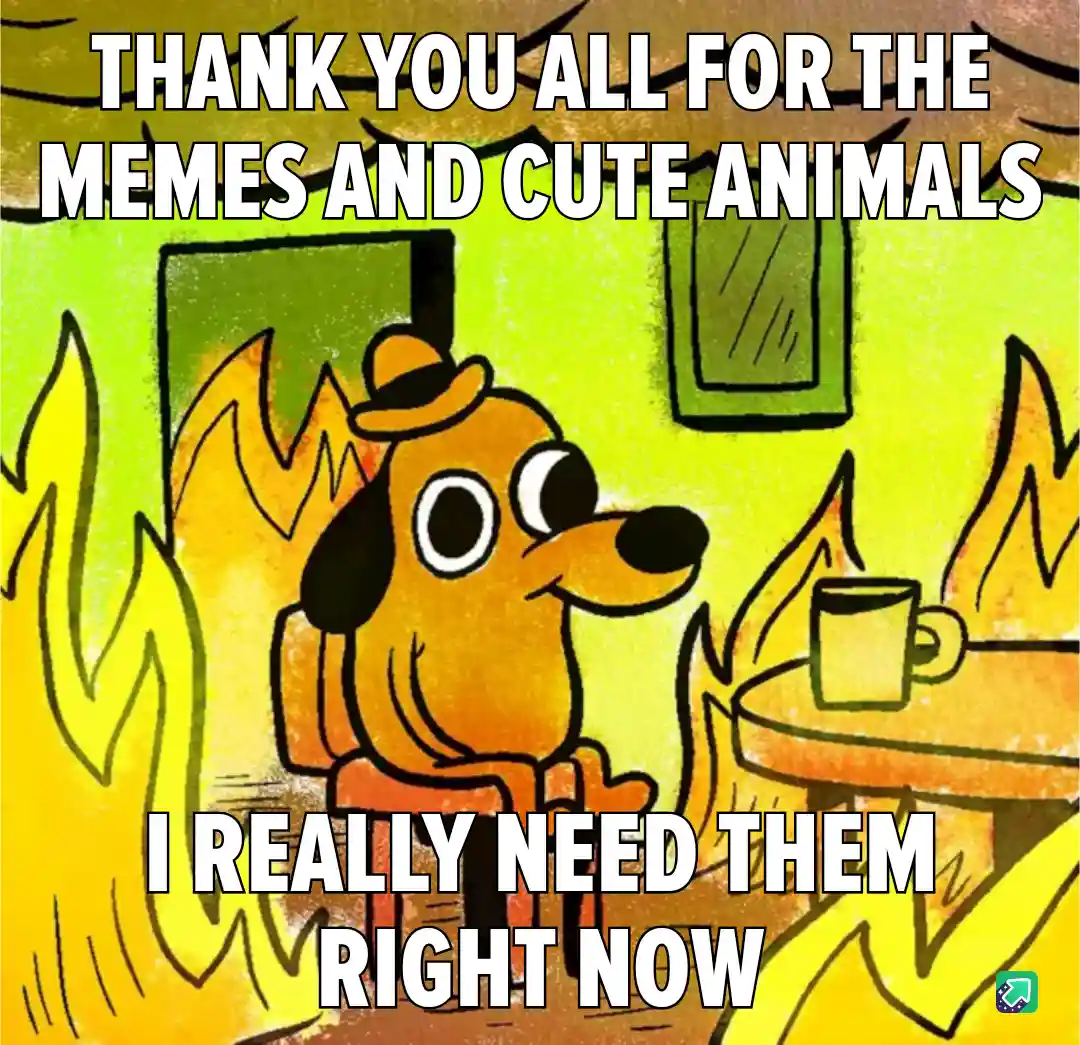 A cartoon dog wearing a hat sits calmly in a room engulfed in flames, with a mug on a table beside it. The text overlaid on…