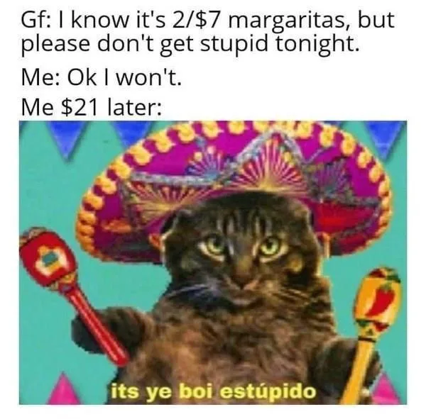 A brown tabby cat wearing a colorful sombrero and holding two maracas, looking directly at the viewer with a smug…