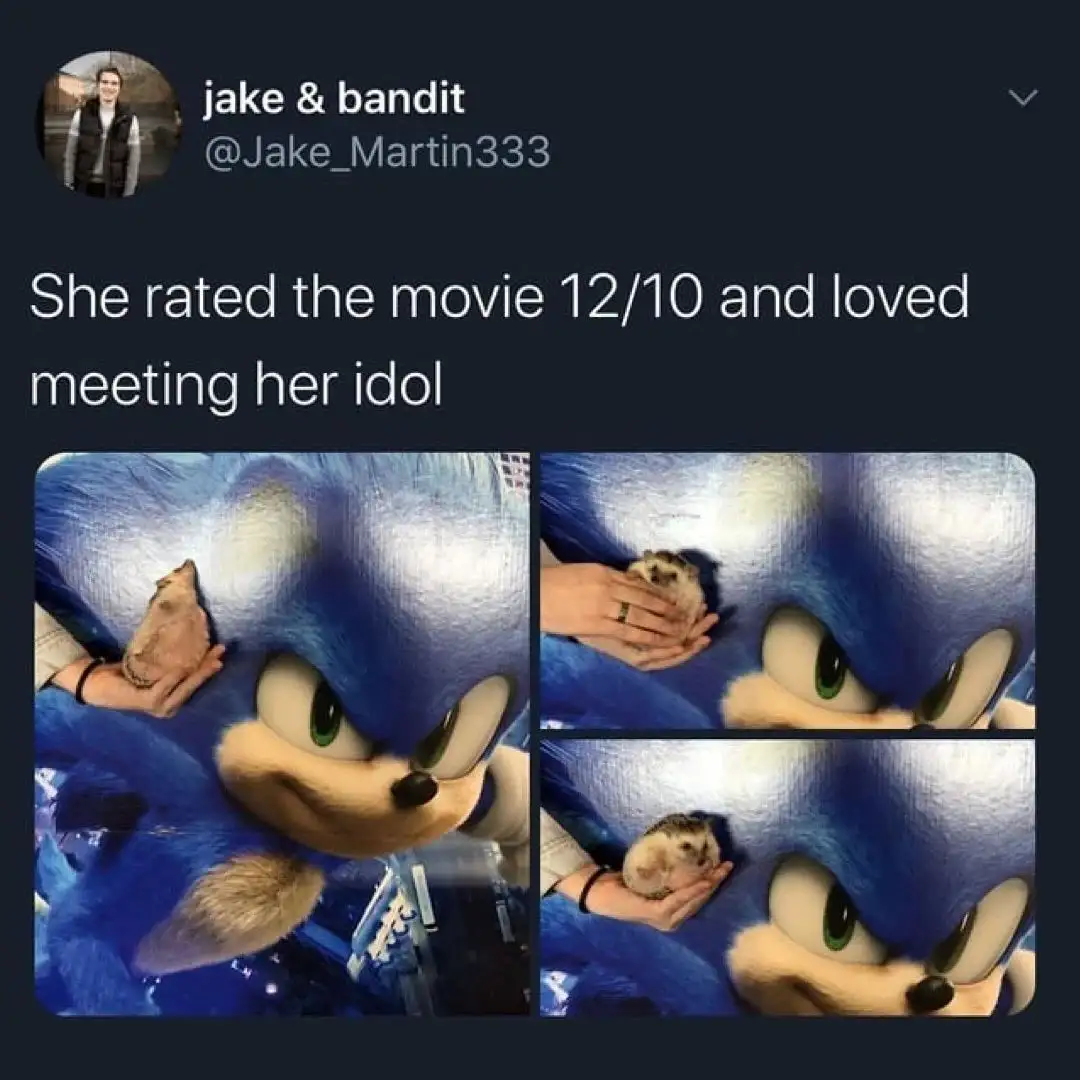 A three-panel image shows a person in a large, blue Sonic the Hedgehog costume holding a small hedgehog. The first panel…