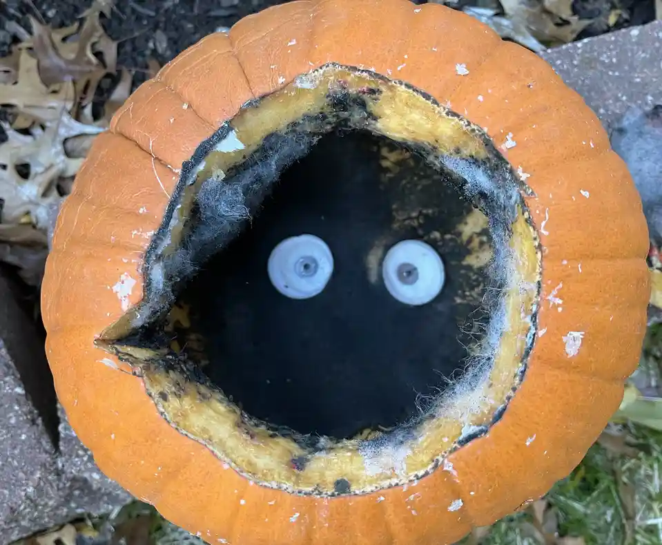 Get Ready to Embrace the Spooky Vibes!