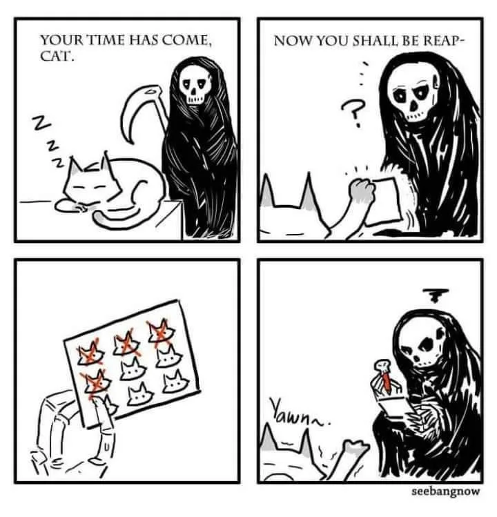 A four-panel comic shows a grim reaper approaching a sleeping cat, announcing its time has come. The reaper then looks…
