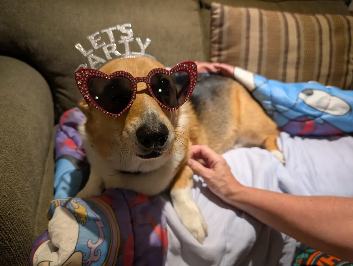 A tan and white corgi dog is lounging on a couch, wearing a sparkly silver tiara that says 'LET'S PARTY' and oversized red…
