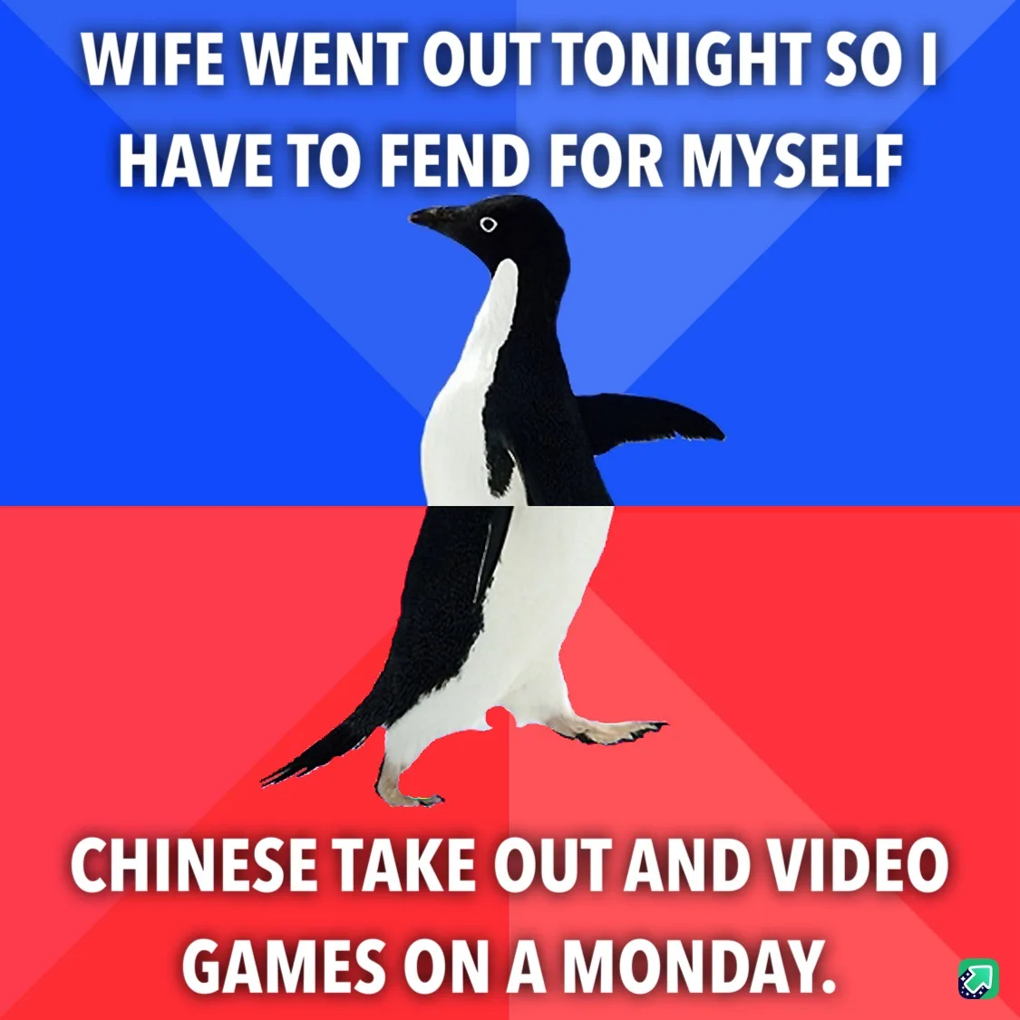 A penguin stands centered against a blue and red background, with white text above stating 'WIFE WENT OUT TONIGHT SO I HAVE…
