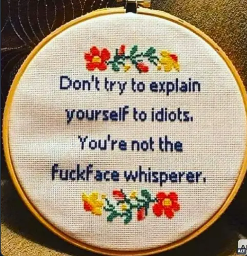 A close-up of a cross-stitch piece in a wooden hoop, featuring the text 'Don't try to explain yourself to idiots. You're not…
