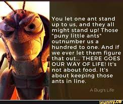 A close-up of the animated character Flik from 'A Bug's Life' with a serious, determined expression. Overlaid text is a…