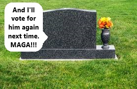 A black granite tombstone in a grassy cemetery with a small black vase holding orange flowers on its right side. A white…