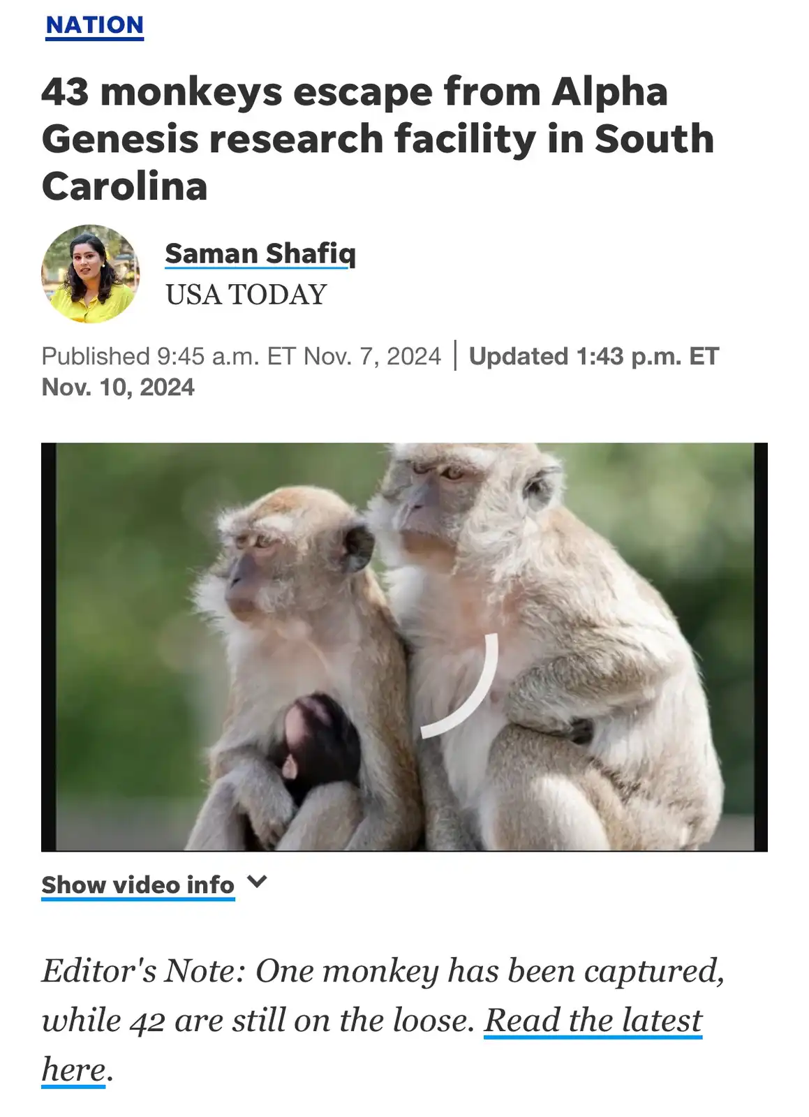 Who placed bets on the escaped research monkeys post-2024 election?