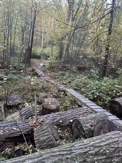 A forest trail with wooden planks and fallen logs, surrounded by trees with autumn leaves. The overlaid text reads 'i'm not…