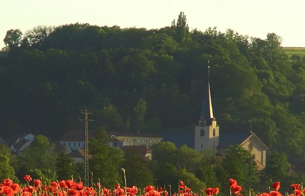 A scenic landscape photo shows a church with a tall steeple nestled among green trees on a hill, with a field of bright red…