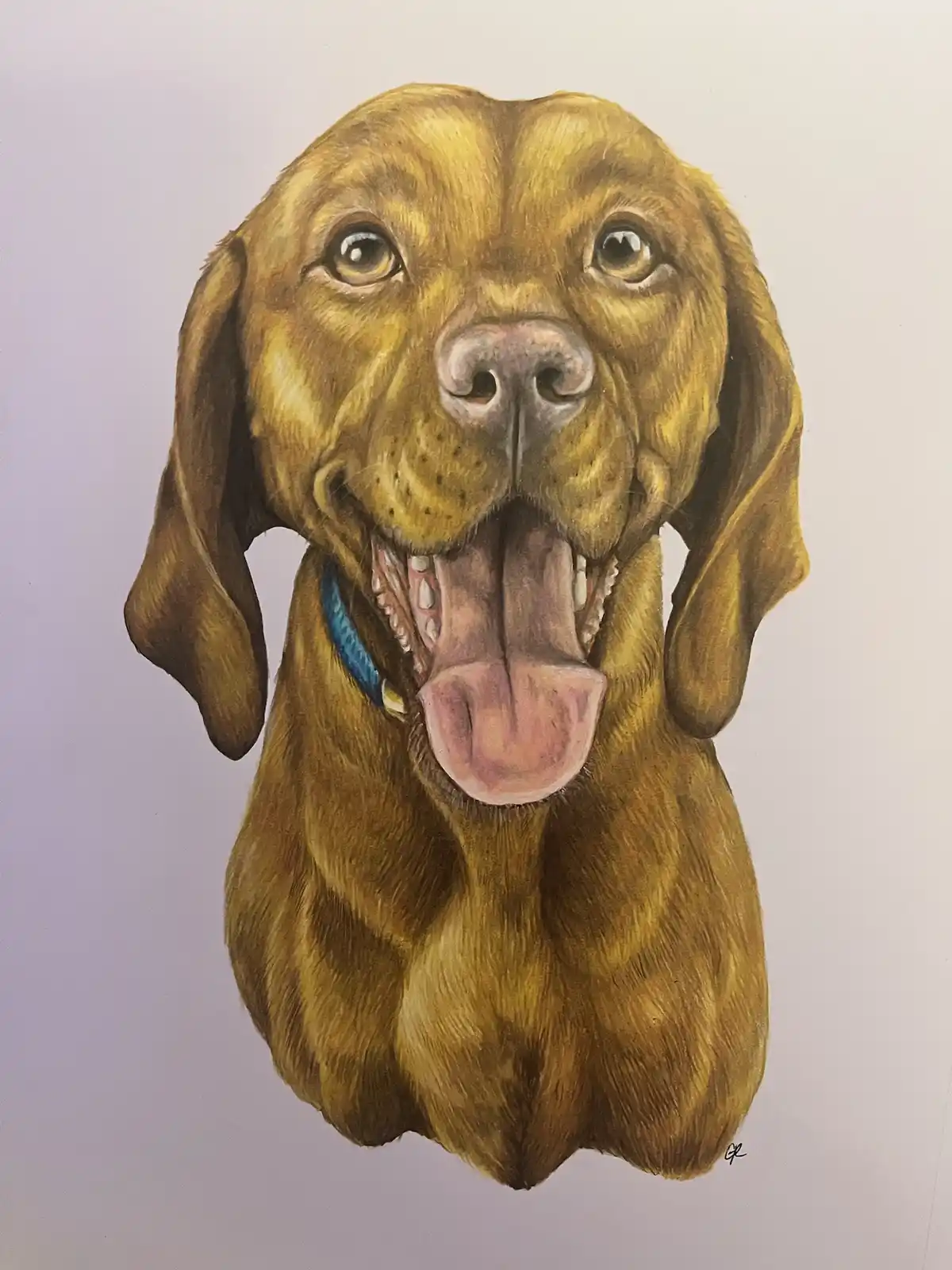 A detailed colored pencil drawing of a happy, golden-brown dog with floppy ears, its mouth open and tongue out, wearing a…