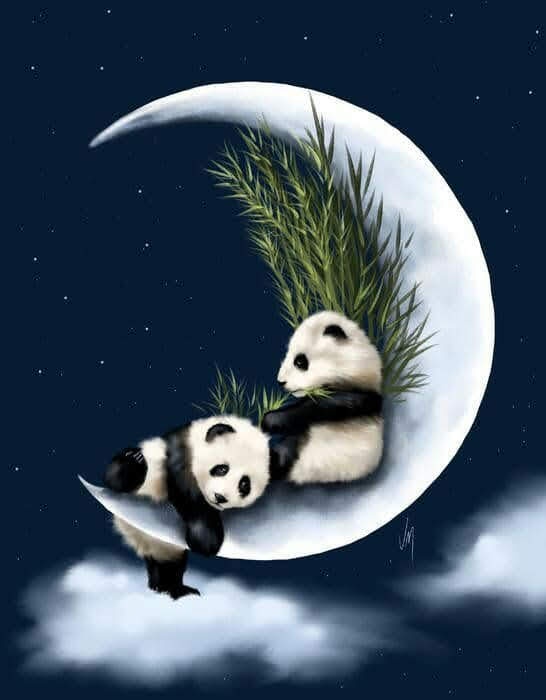 Two cartoon pandas are sitting on a crescent moon against a starry night sky, each holding a bundle of bamboo. One panda is…
