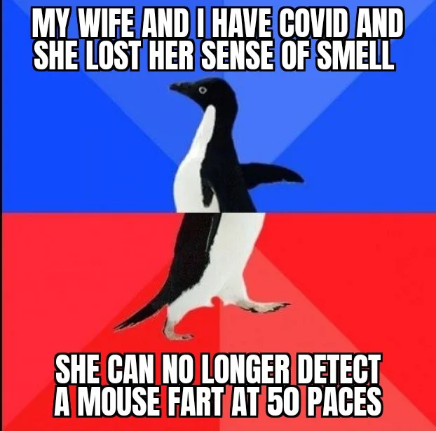 An image of a penguin walking against a blue and red background with bold white text. The top text reads 'MY WIFE AND I HAVE…