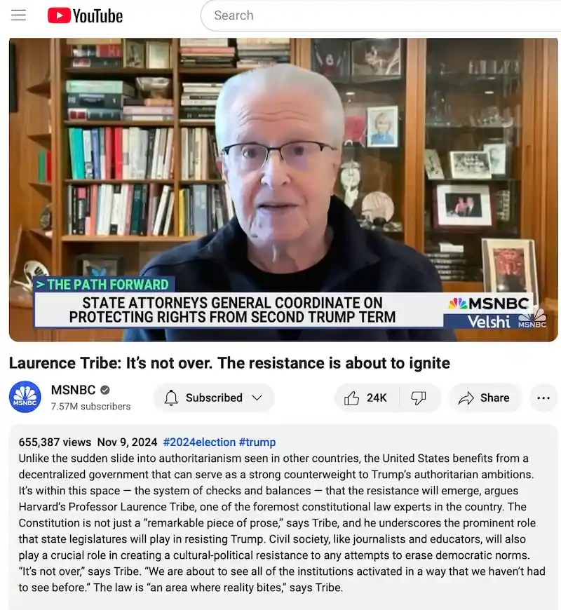 A screenshot of an MSNBC YouTube video featuring Harvard professor Laurence Tribe speaking on a news segment titled 'THE…