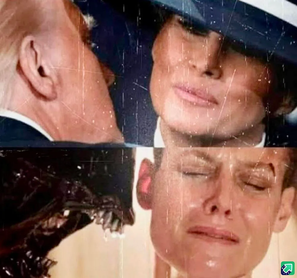 The image is split into two halves. Top half shows Donald Trump kissing Melania Trump under a hat, with rain effects and…