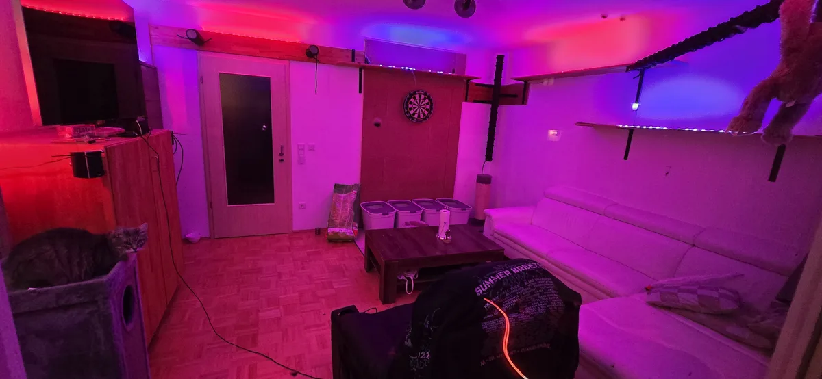A room bathed in red and purple LED lighting features a cat lounging in a laundry basket on the left and another cat hanging…