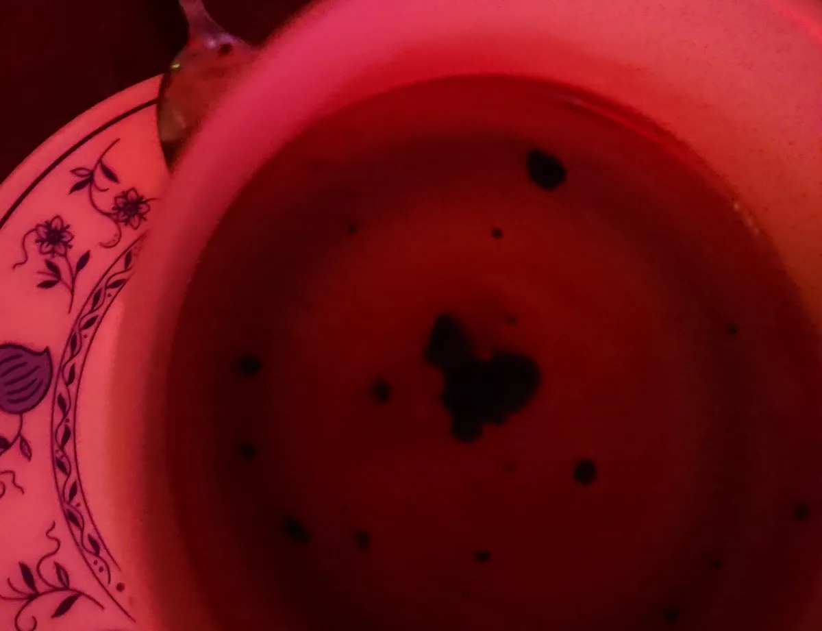 A close-up, top-down view of a cup of dark liquid under red lighting, with a large dark speck resembling a bug in the center…