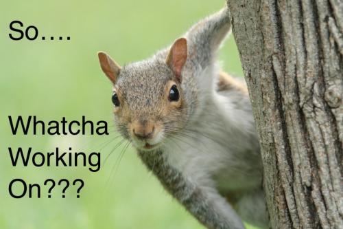 A gray squirrel peeks out from behind a tree trunk, looking directly at the viewer with wide, curious eyes. Black text is…