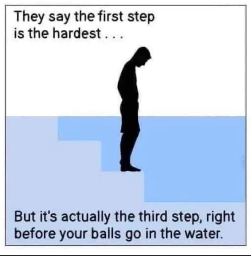 A black silhouette of a person standing on the third step of a diving board, looking down. The top text reads 'They say the…