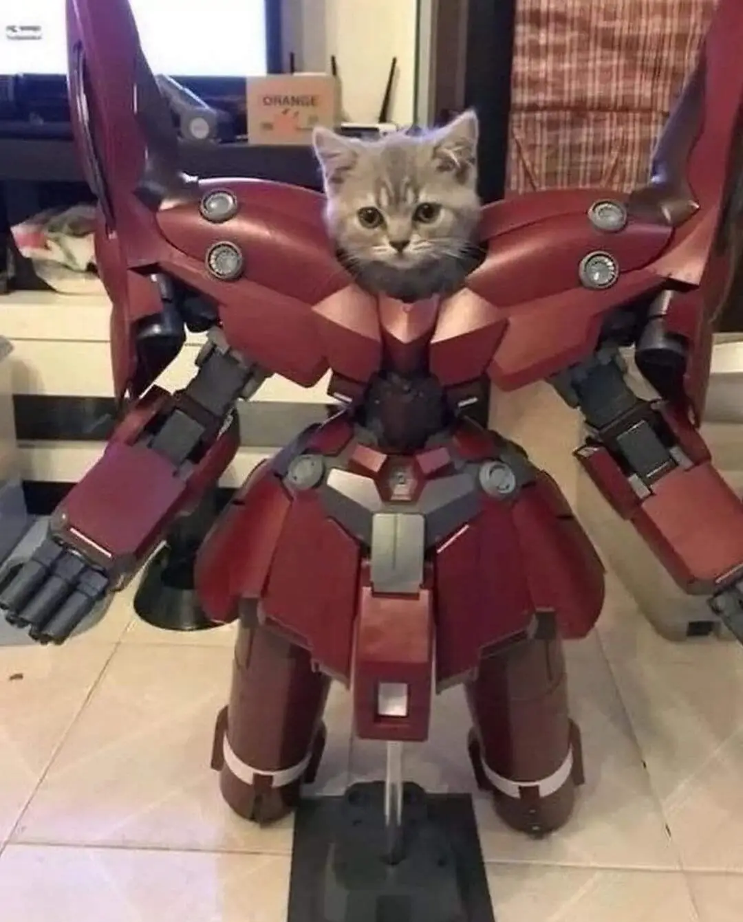 A small gray tabby kitten is peeking out from the chest opening of a red and black robot mech model, standing on a tiled…