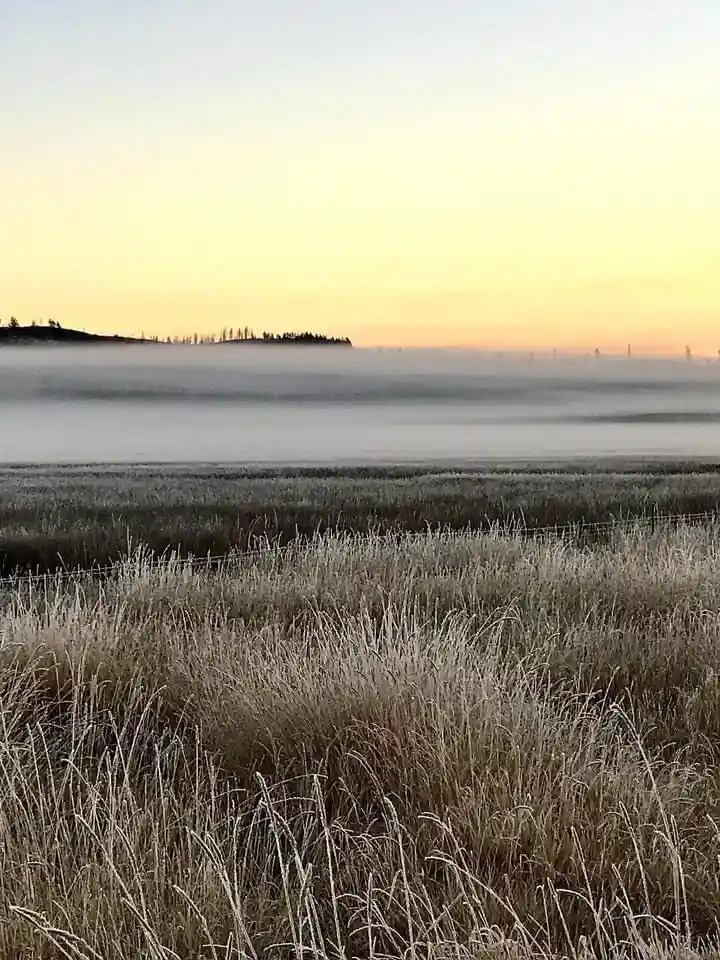 A serene landscape photo shows a field of frost-covered grass in the foreground, with a thick layer of fog rolling across a…