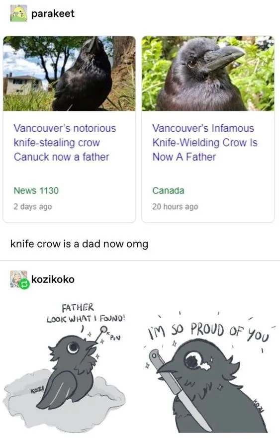 The image displays two news article thumbnails about a crow in Vancouver known for stealing knives, now reported as a…