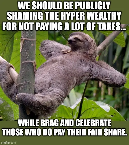 A sloth is hanging lazily from a tree branch in a green jungle setting. White bold text is overlaid in two sections: the top…