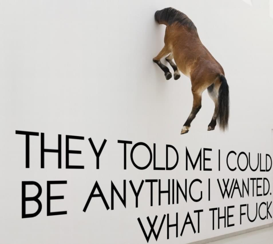 A taxidermied horse is mounted on a white wall, appearing to climb upward with its legs gripping the surface. Below it, bold…