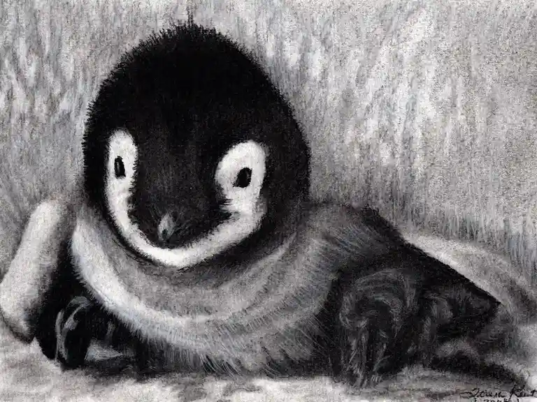 Adorable Penguin Moments