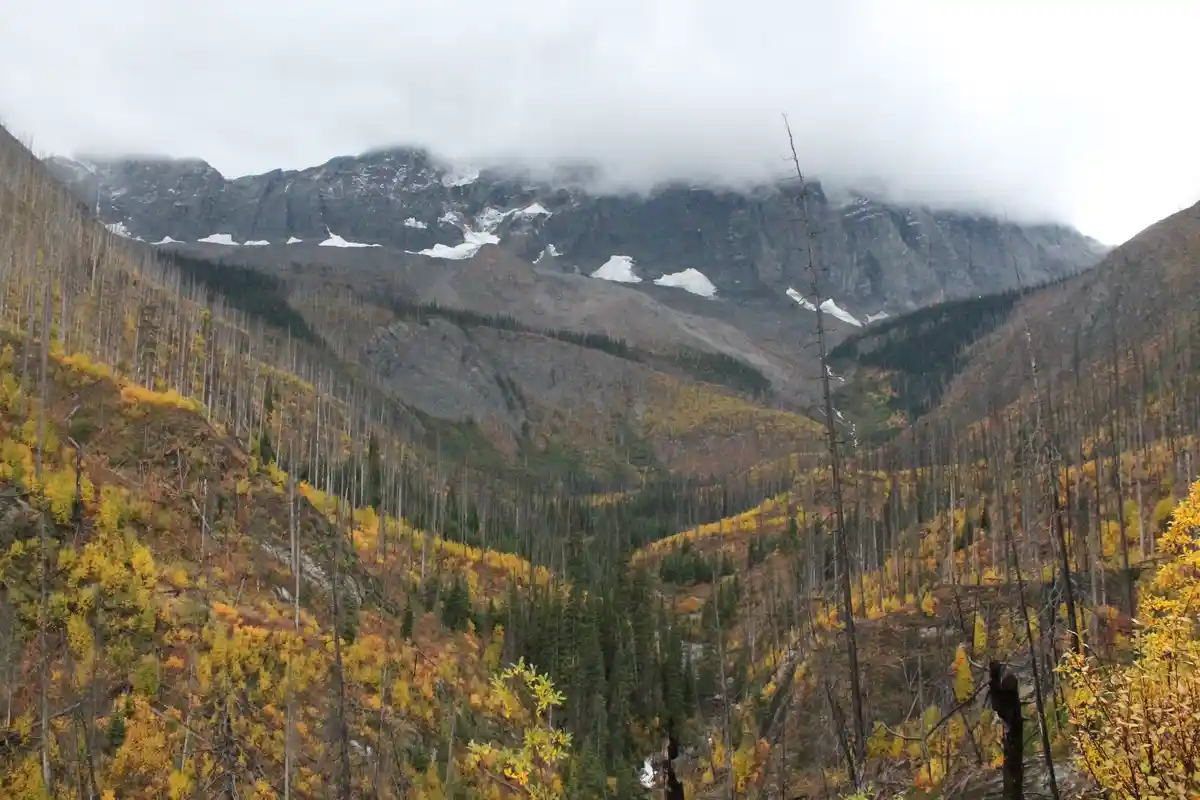 A scenic mountain valley with autumn-colored trees and snow-capped peaks partially obscured by clouds. The image has text…
