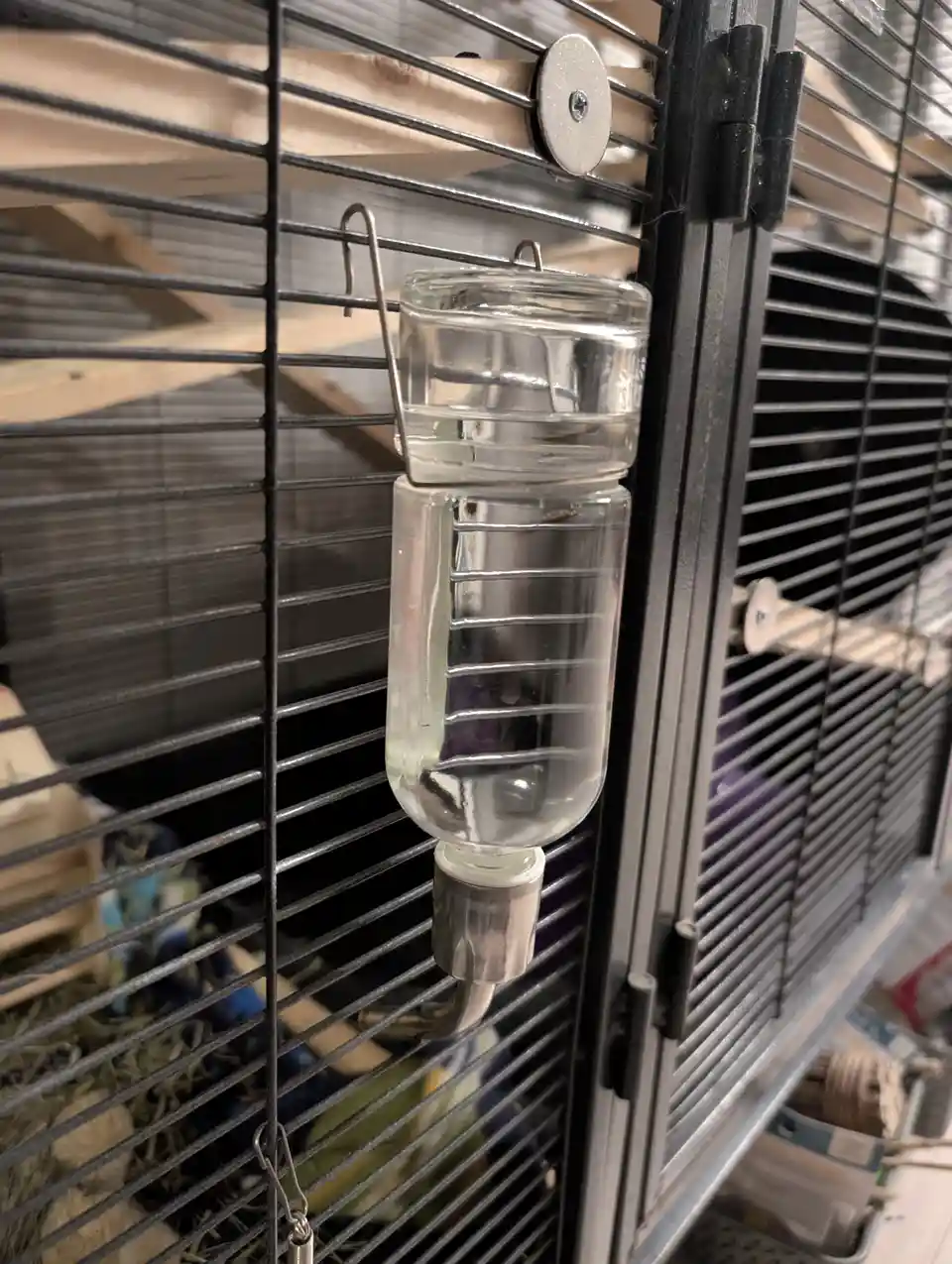 The Essential Water Bottle: Your Hydration Companion