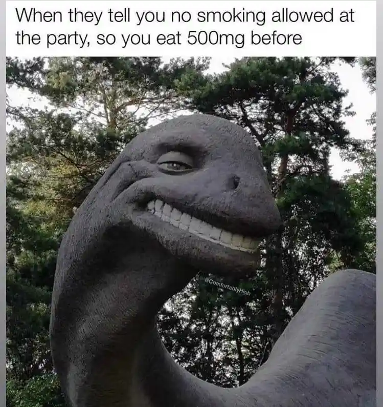 A close-up photo of a large, gray, textured dinosaur statue with a wide, toothy grin and one eye half-closed, conveying a…