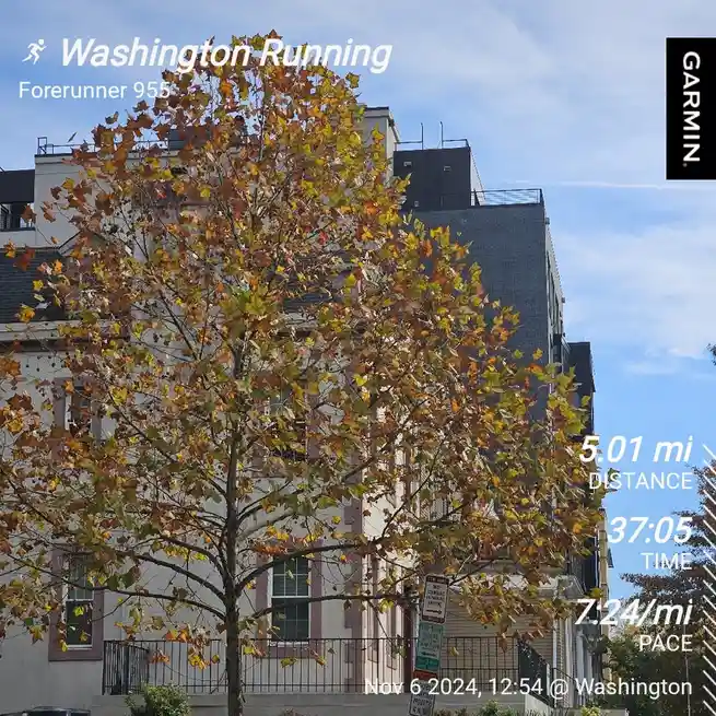 A screenshot of a Garmin Forerunner 955 running GPS watch displaying a workout summary overlaid on a photo of a tree with…