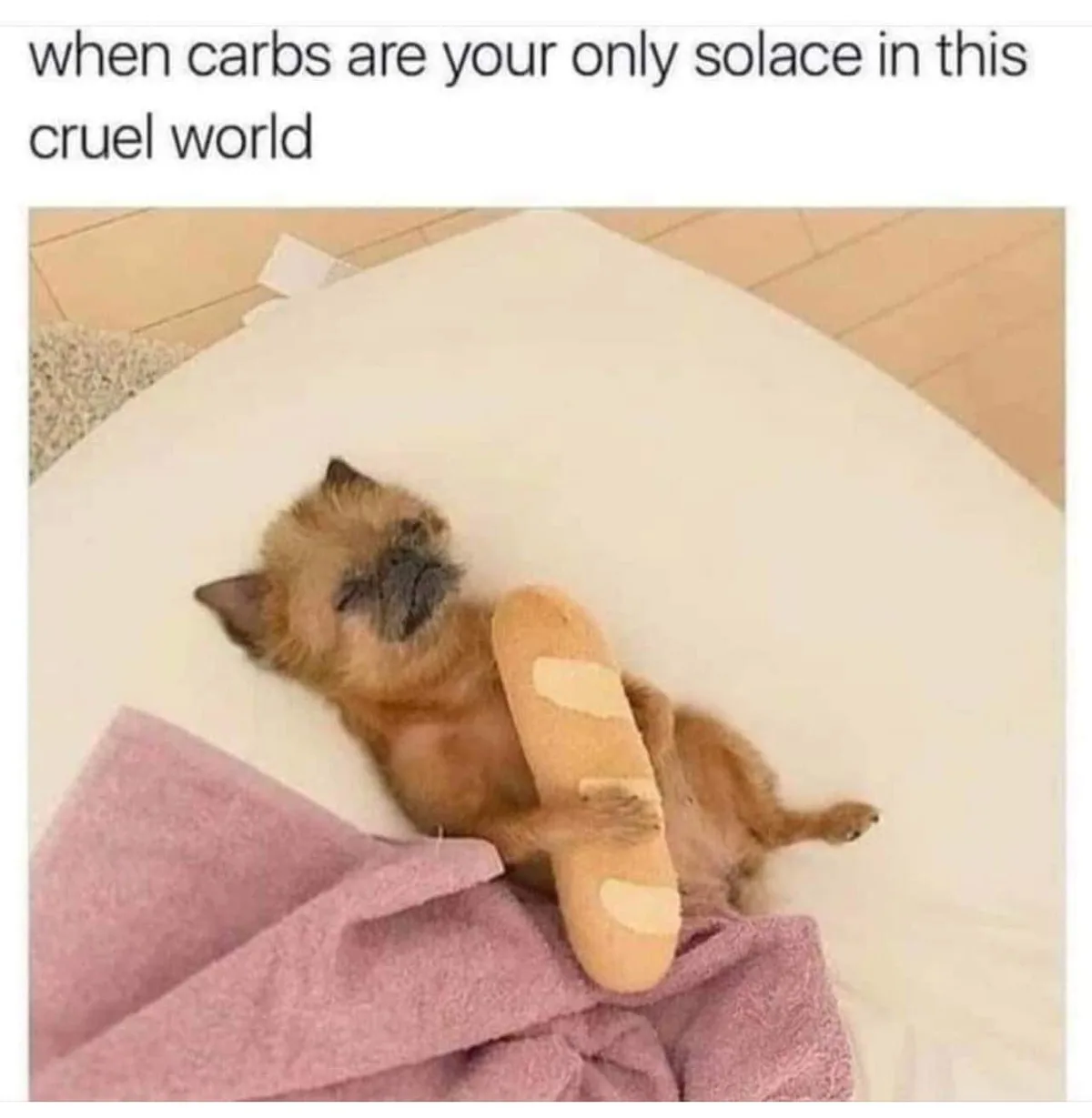 A small, fluffy, light brown puppy is lying on its back on a white surface, holding a plush toy shaped like a baguette…