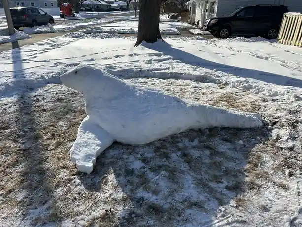 A large, detailed snow sculpture of a seal lies on a snowy lawn in a residential neighborhood, with houses, cars, and a tree…