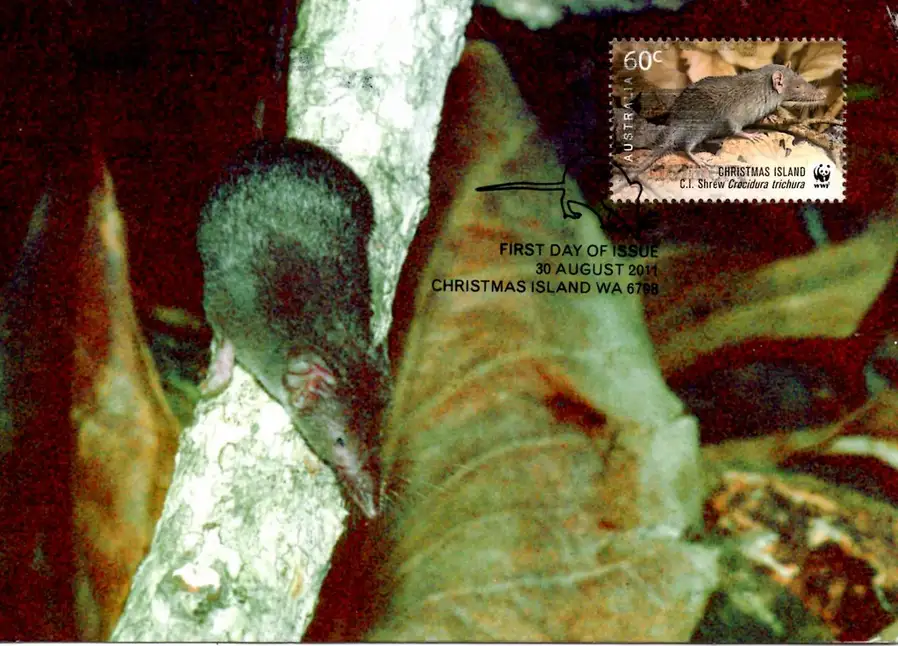 A blurry photo of a small, dark-furred mammal clinging to a tree trunk, overlaid with a postage stamp image of the same…
