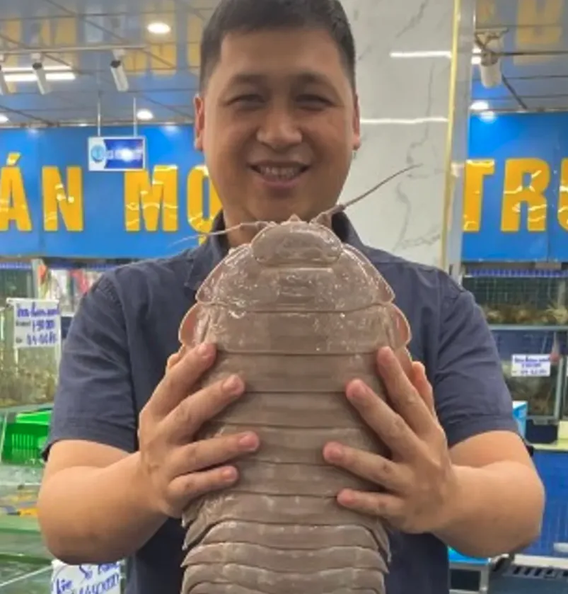A smiling man in a dark blue shirt holds a very large, segmented, grayish-brown crustacean resembling a giant isopod or…