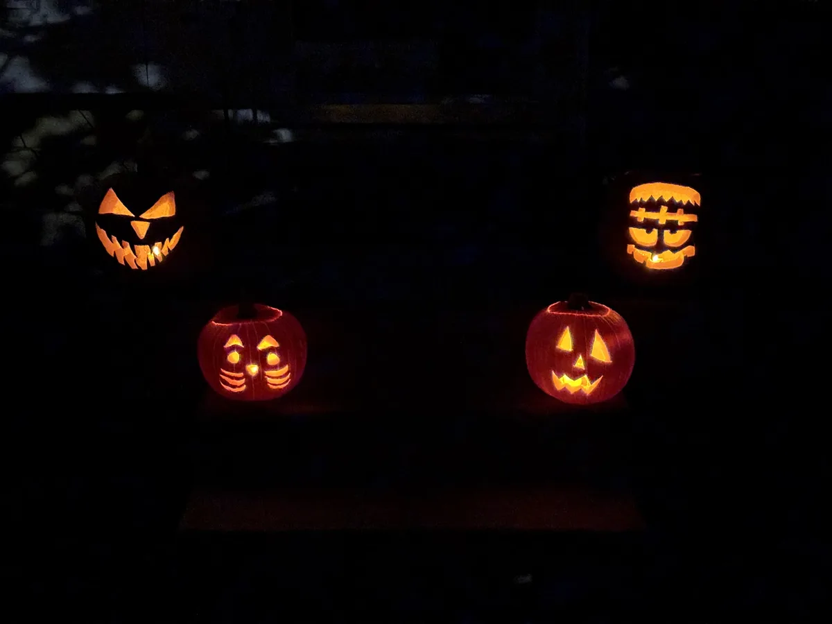 Four carved pumpkins with glowing faces sit in darkness, one with a cat-like face, one with a classic jack-o'-lantern grin…