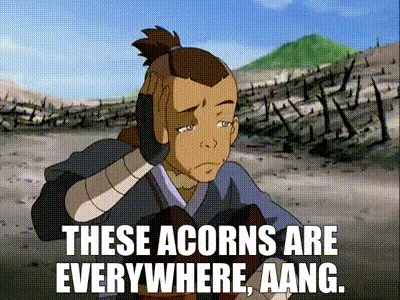 Speaking on behalf of the future, fellow Acorns!