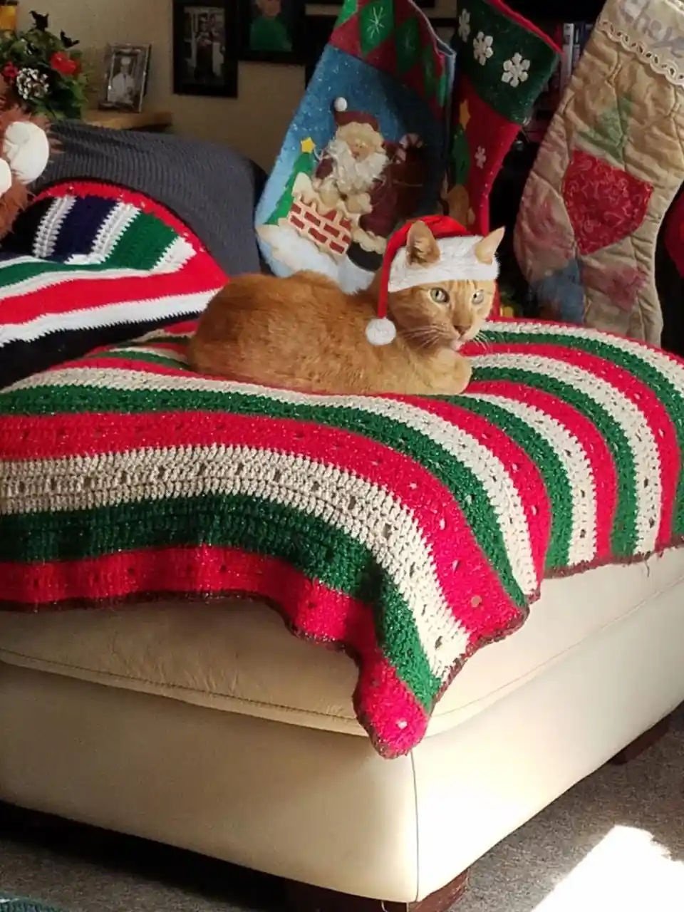 An orange tabby cat wearing a small red and white Santa hat sits calmly on a red, green, and white striped crocheted blanket…