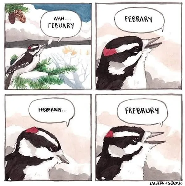 A four-panel comic strip featuring a cartoon woodpecker struggling to pronounce the month of February. In the first panel…