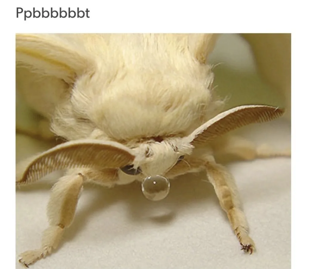 Random Meme Collection: Part 284
