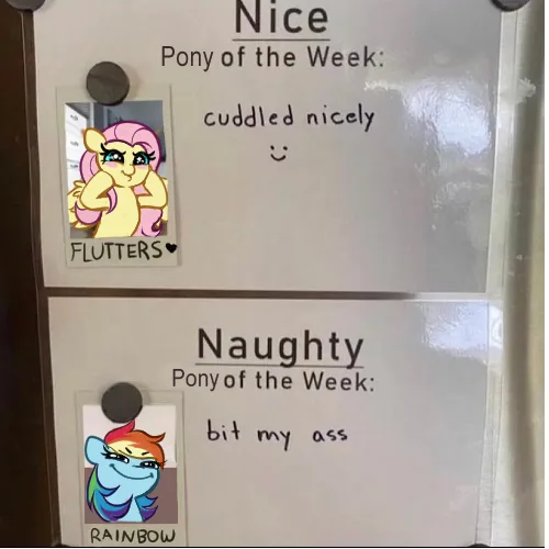 A refrigerator door has two sections labeled 'Nice' and 'Naughty' Pony of the Week. The 'Nice' section features a photo of…