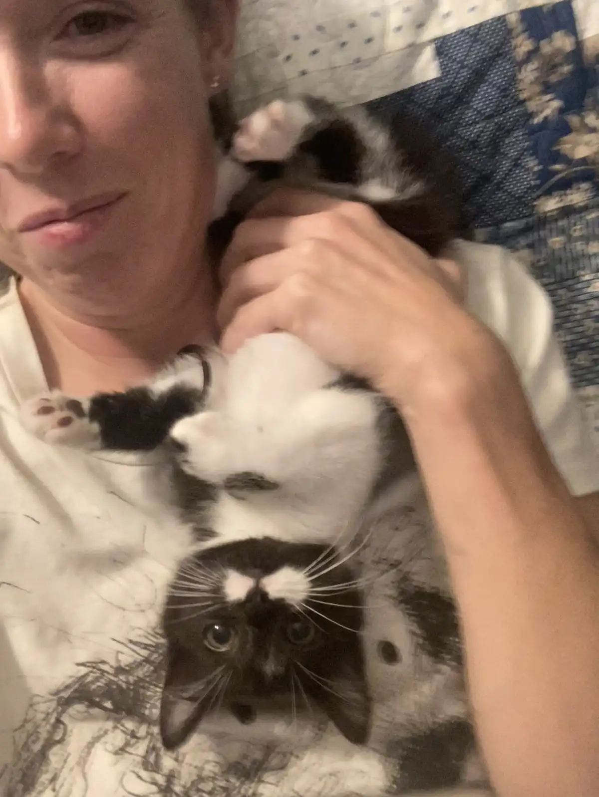A person is holding a black and white cat upside down on their chest, the cat looking directly at the camera with wide eyes…