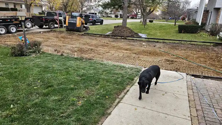 A black Labrador dog stands on a concrete sidewalk, looking toward a large, muddy construction zone in a residential yard…