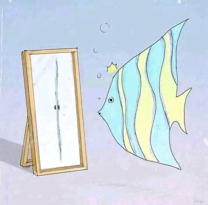 A cartoon angelfish with blue and yellow stripes gazes at a standing mirror, which reflects a distorted, elongated, and…